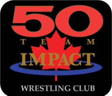 team impact logo